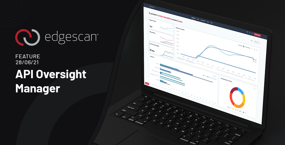 API Assessment and Oversight with Edgescan