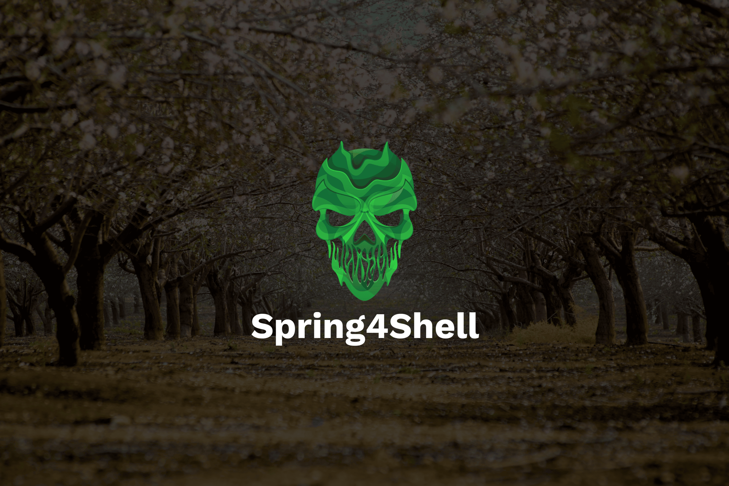 Spring4Shell – CVE-2022-22965