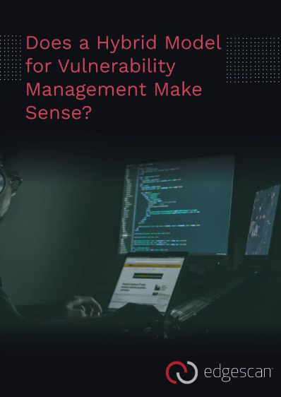 A Hybrid Model for Vulnerability Management