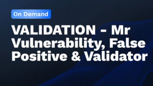 VALIDATION – Mr Vulnerability, False Positive & Validator