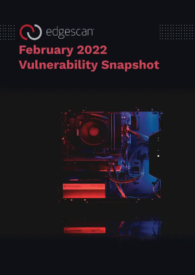 February 2022 Vulnerability Snapshot