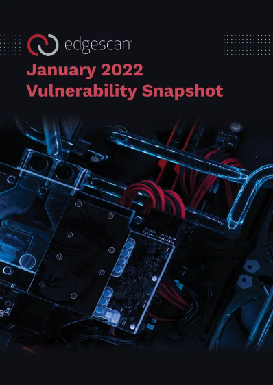 January 2022 Vulnerability Snapshot