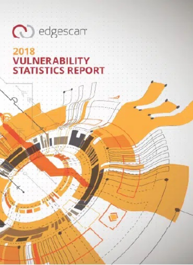 2018 Vulnerability Stats Report