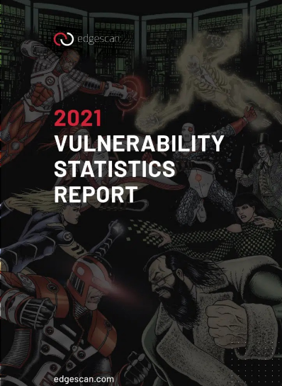 2021 Vulnerability Stats Report