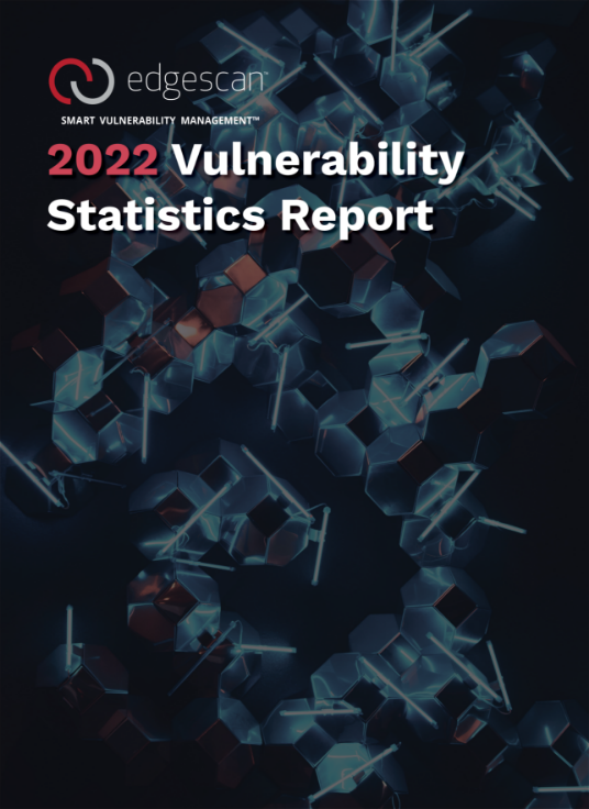 2022 Vulnerability Statistic Report