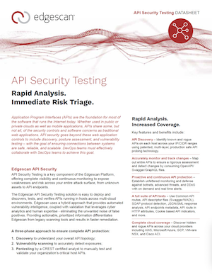 API Security Testing