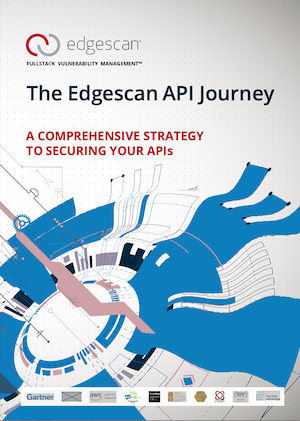 The Edgescan API Journey