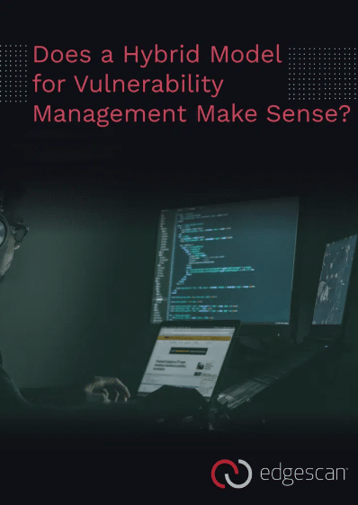 Does a Hybrid Model for Vulnerability Managment Make Sense2