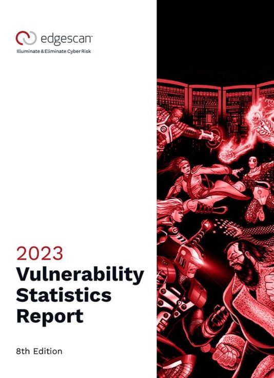 2023 Vulnerability Statistic REport